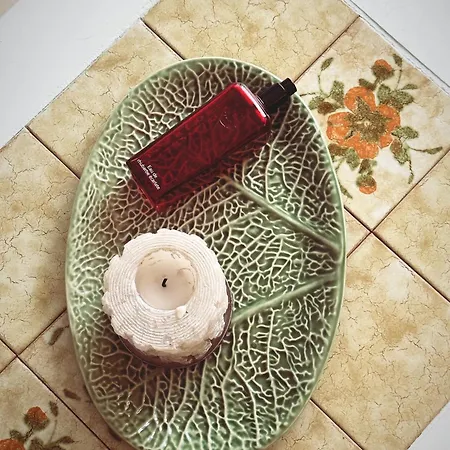 公寓 Luc 阿尔啼