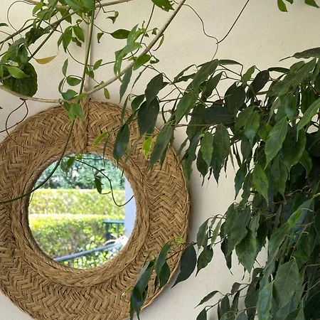 Apartment Luc Altea